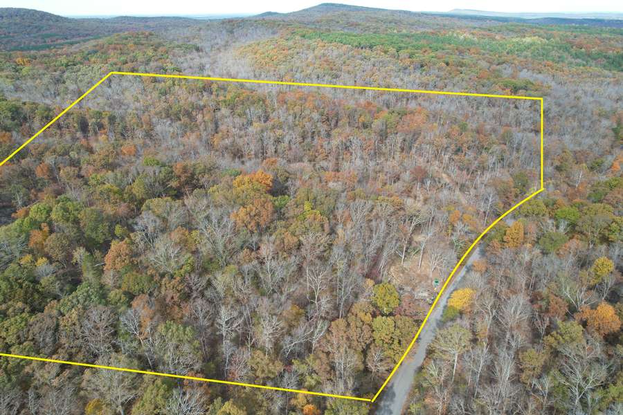 Land Surrounded by Shawnee Forest